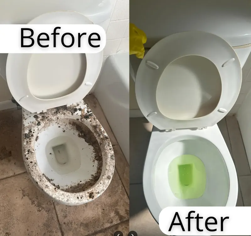 Before and after deep cleaning of a toilet