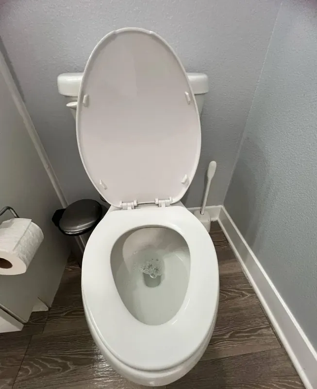 Sanitized and sparkling clean toilet